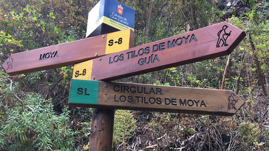 Rondwandeling Tilos de Moya - Een eenvoudige wandeling voor alle natuurliefhebbers!